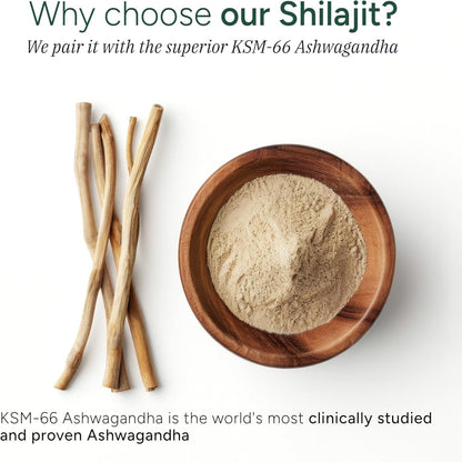 10-in-1 Shilajit Gummies (4000mg)|Tongkat Ali, Maca, 75% Fulvic Acid | Sugar-Free & Vegetarian1.