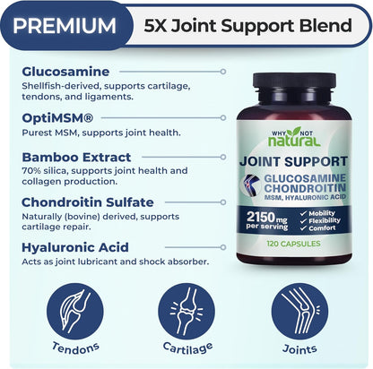 Glucosamine Chondroitin MSM Joint Support – Knee & Joint Health Supplement