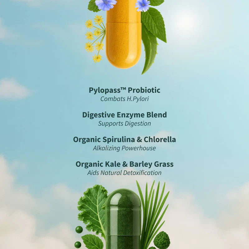 Gut Health Bundle